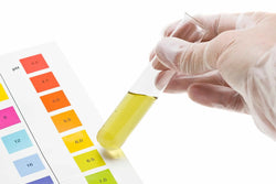 The Role of pH & Temperature Resistance in Lab Stationery